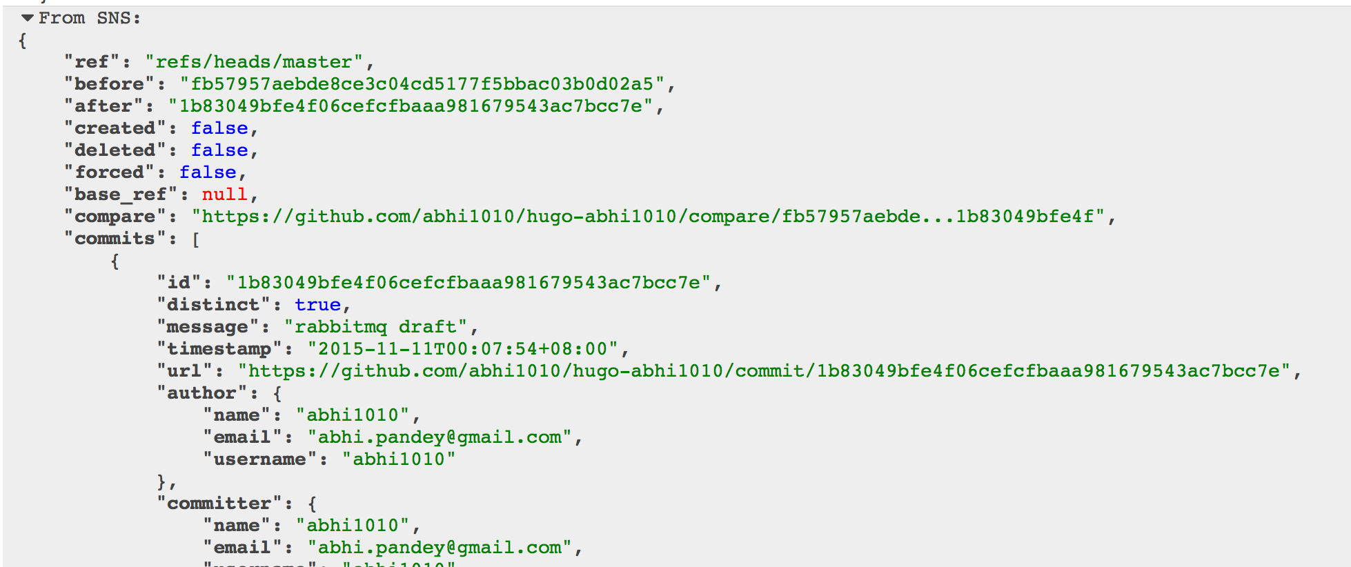 Checking the lambda logs